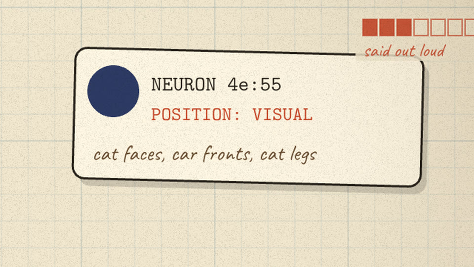 K-pop member card: NEURON 4e:55, POSITION: VISUAL, cat faces, car fronts, cat legs