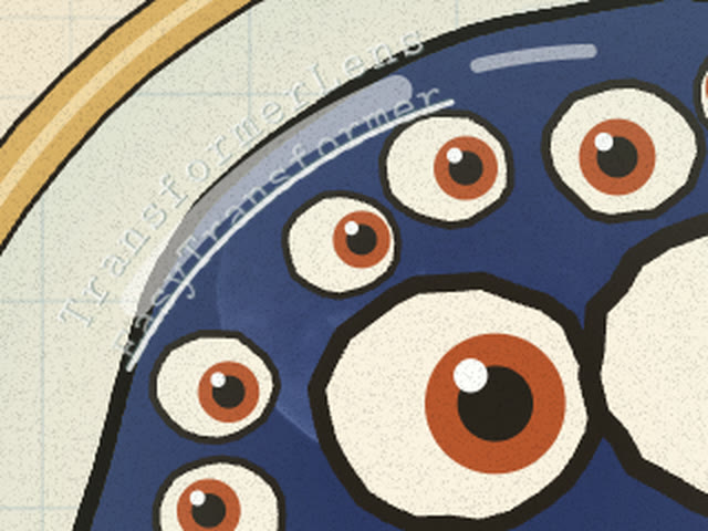 Close-up of lens glass: TransformerLens etched, struck-out EasyTransformer fainter beneath