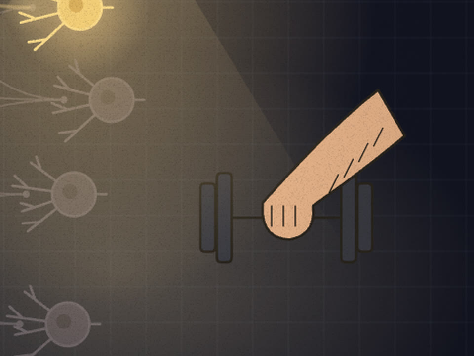 Under the lamplight, a dumbbell still gripped by a disembodied forearm