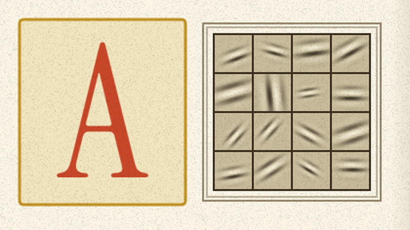 Illuminated letter A beside a plate of sixteen striped Gabor-like patches